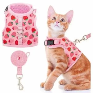 Harnais chat rose PinkPaws