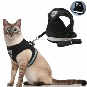 harnais gilet maille chat léger