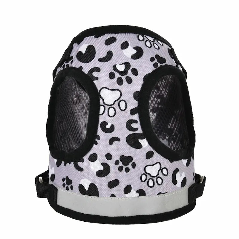 harnais luxe pour chat