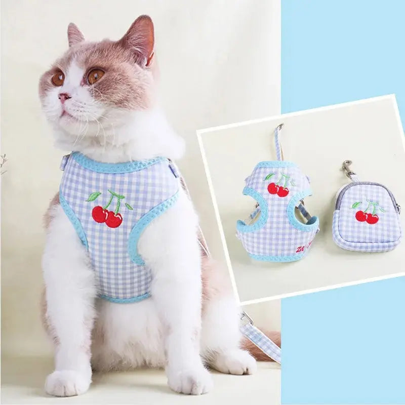 sécurité et confort pour chat
