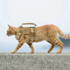 harnais tactique chat