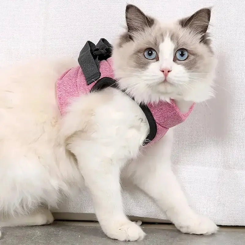 harnais CatForce