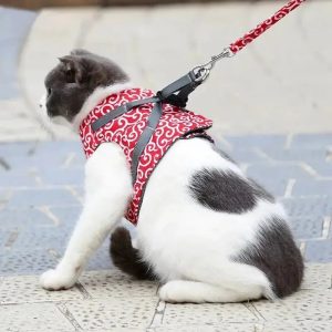 harnais veste chat confort