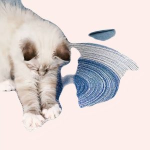 housse de protection lit chat