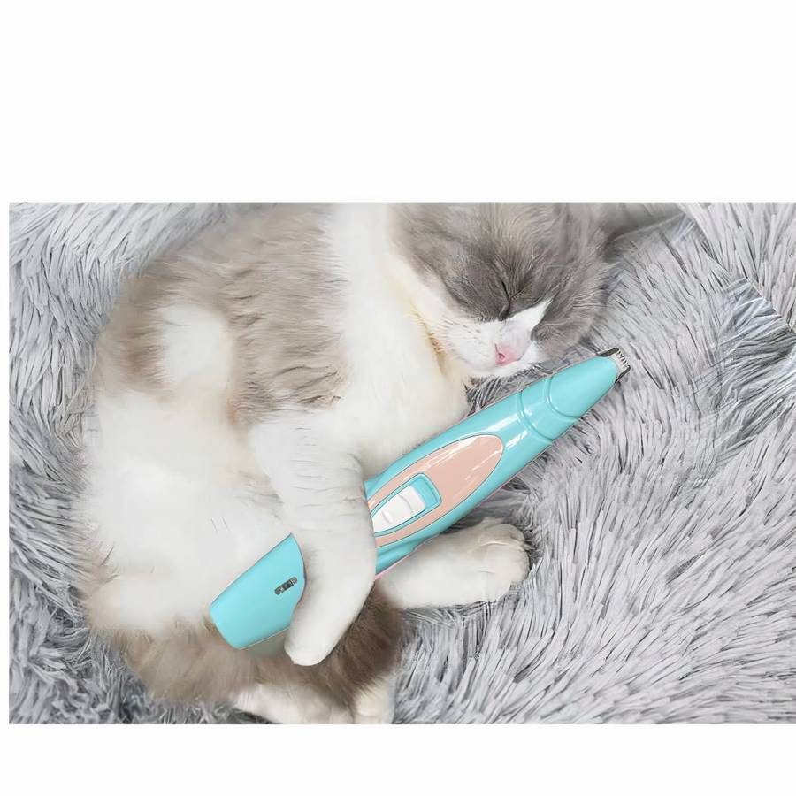 entretien griffes chat