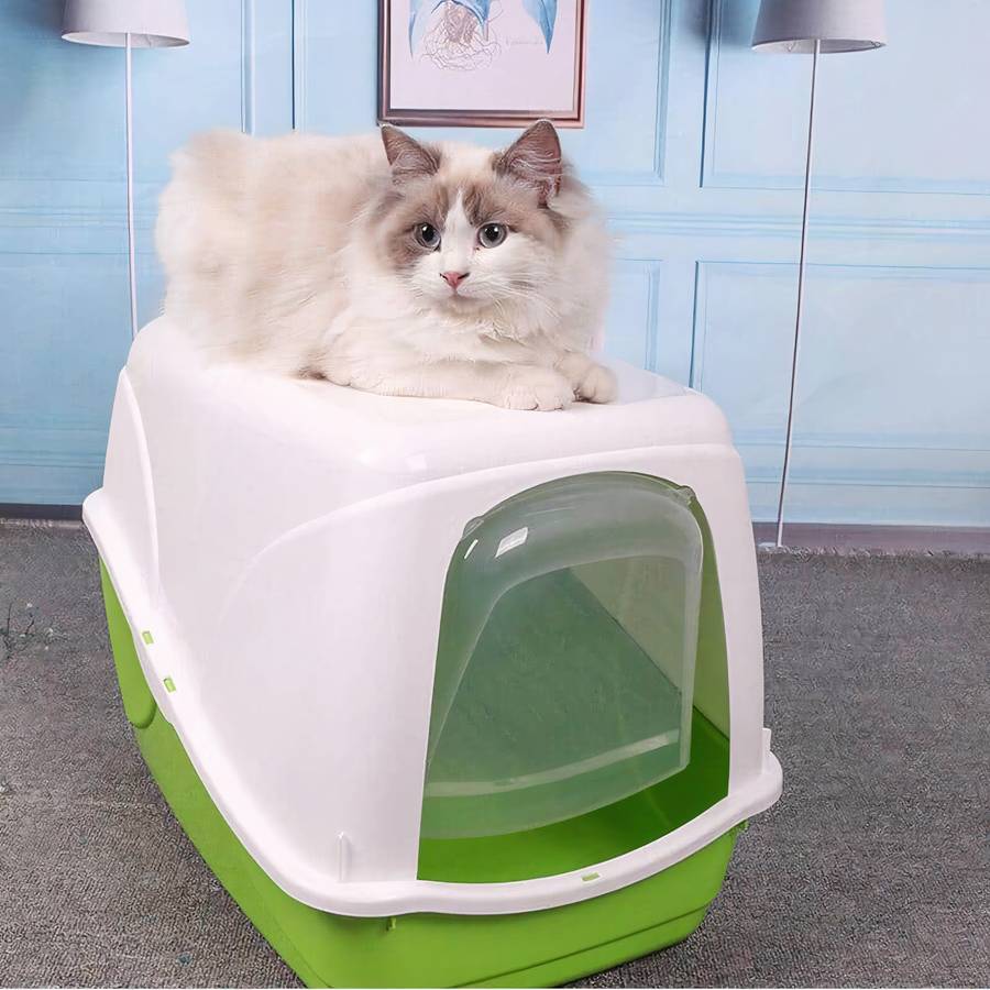 litière fermée chat moderne