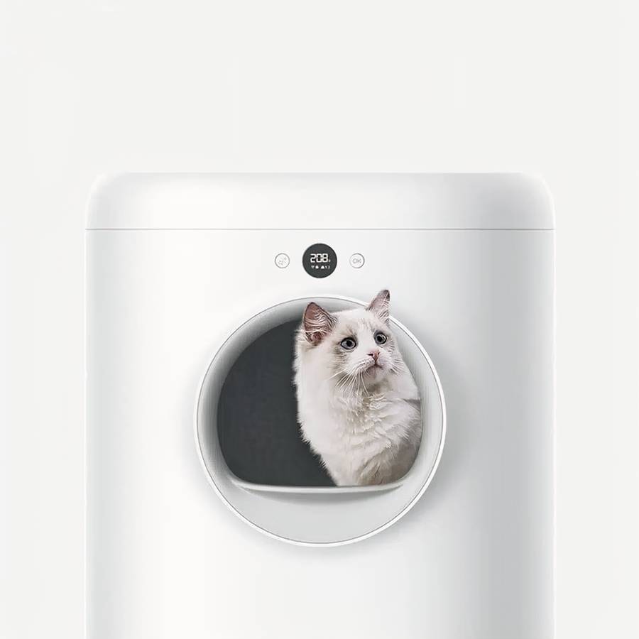 litière innovante pour chat