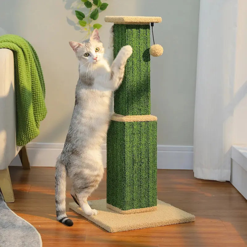 grand poteau gratter chat