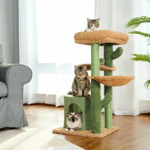 arbre à chat cactus