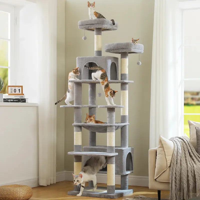 Arbre à chat stable