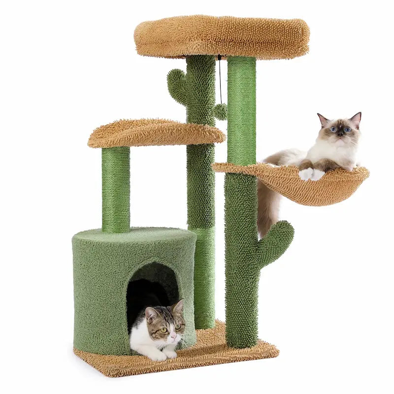 cactus de jeu pour chat