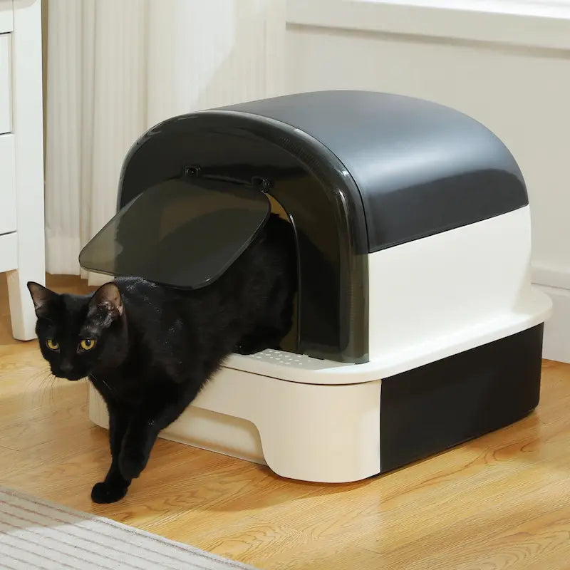 FreshSlide pour chat