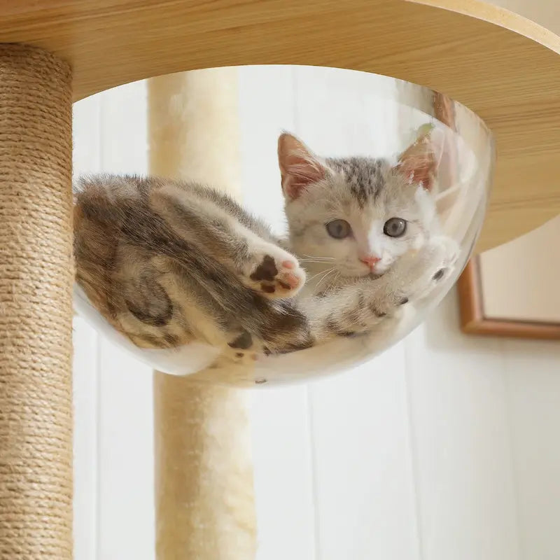 arbre à chat design bois