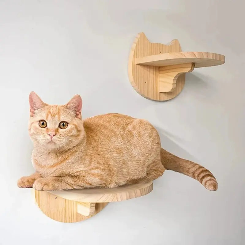 solution murale pour chat