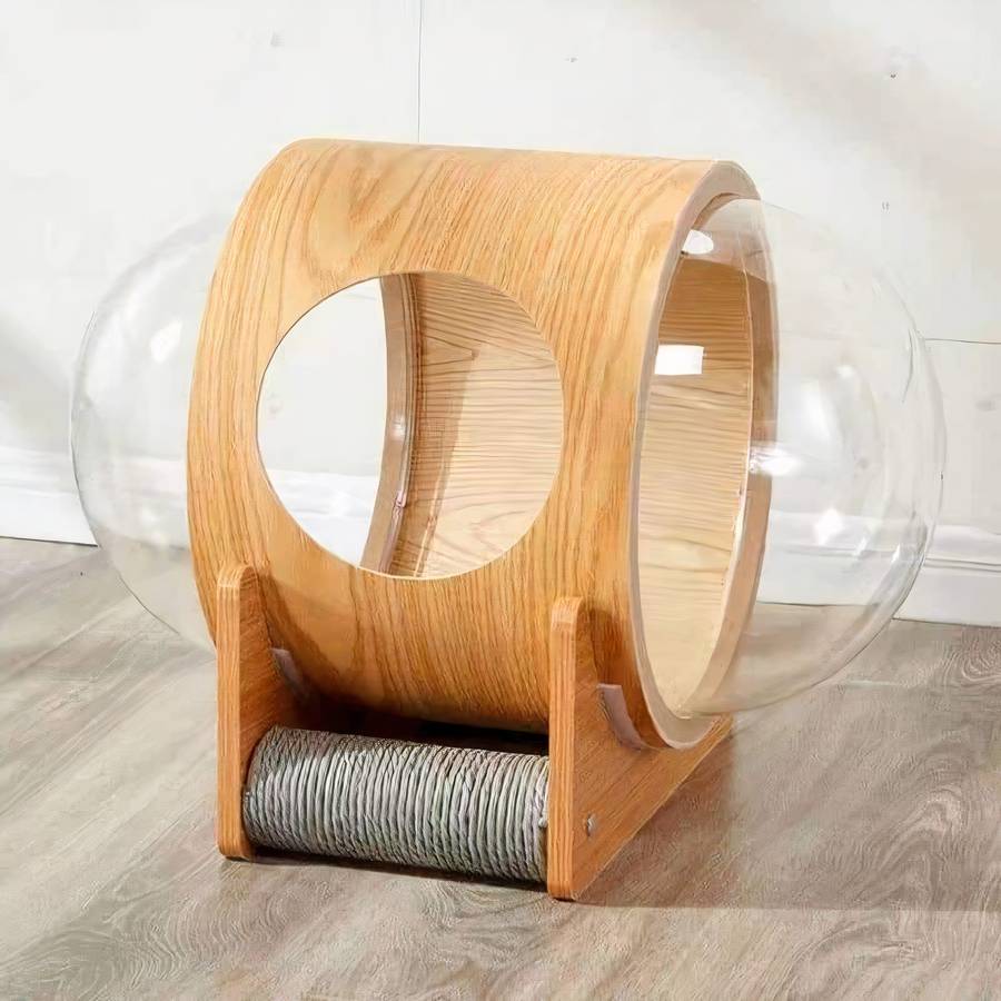 refuge pour chat moderne