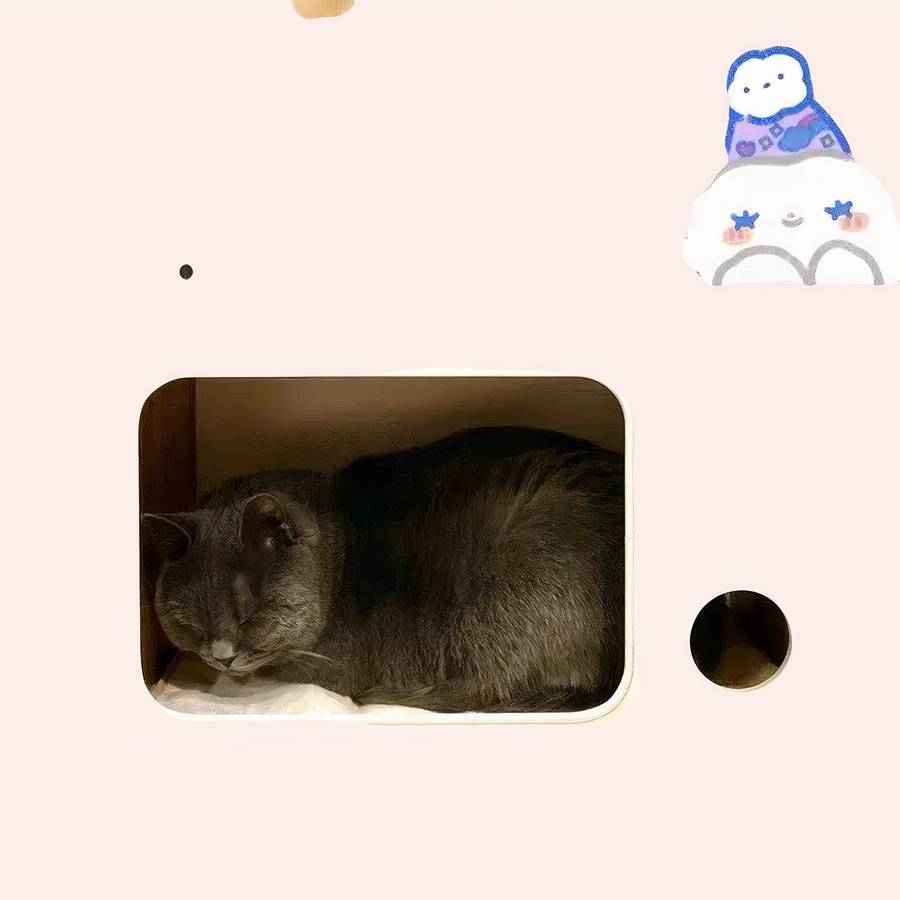 maison chat rétro
