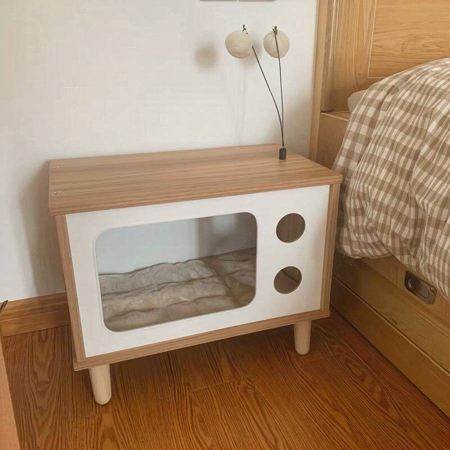 abri chat TV