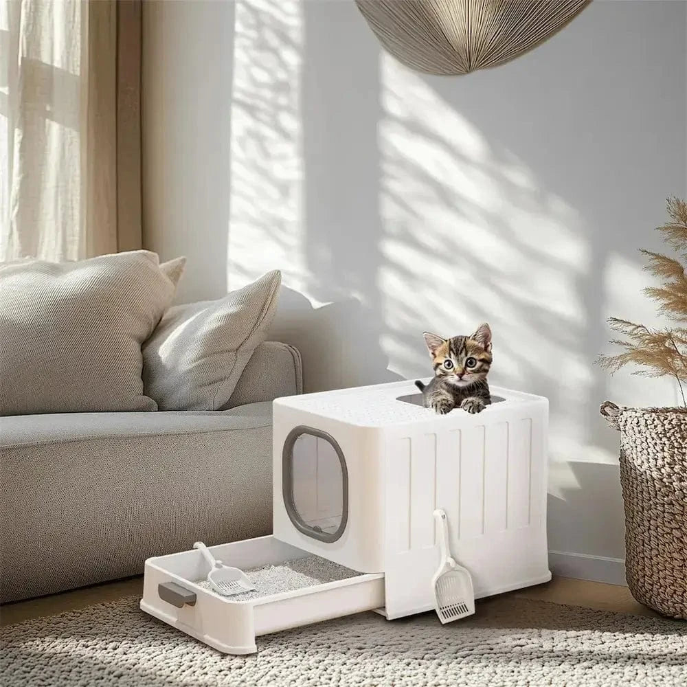 toilette chat sans odeur