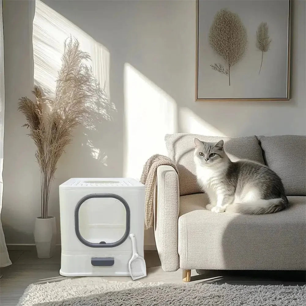 design moderne toilette chat