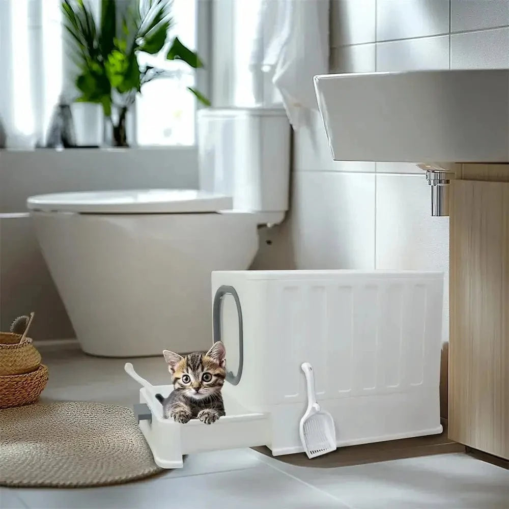 OdorFree maison toilette chat