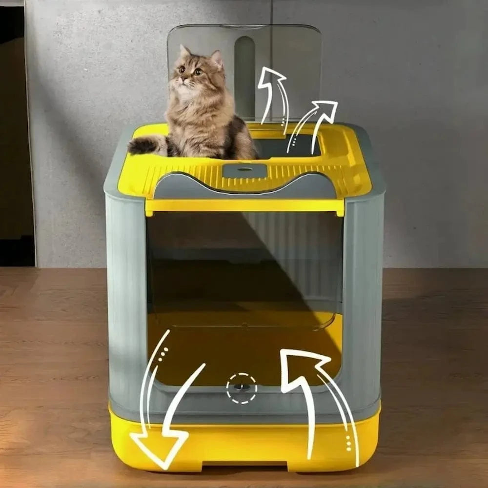 design pliable toilette chat