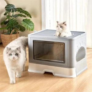 Maison de toilette chat