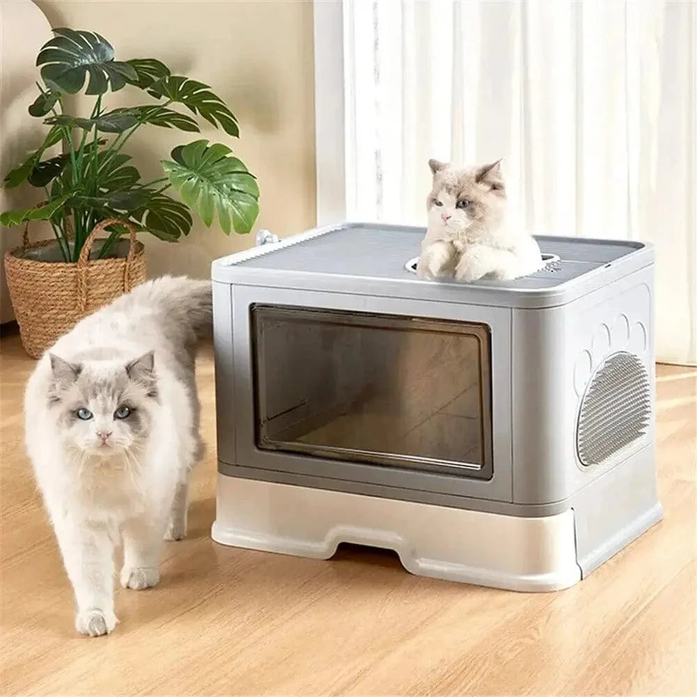 Maison de toilette chat
