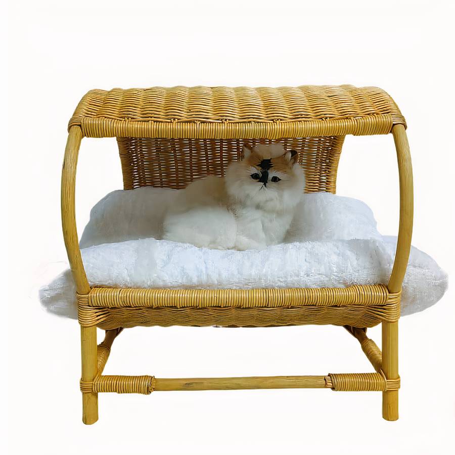 maison cocooning chat