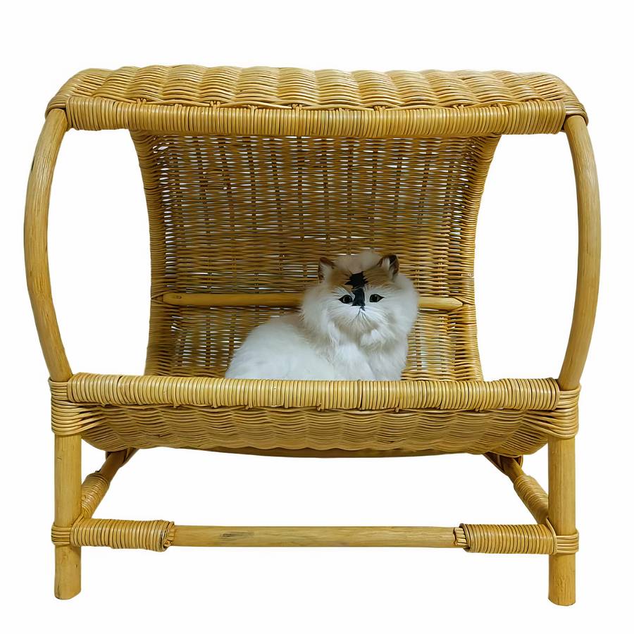 design rotin chat