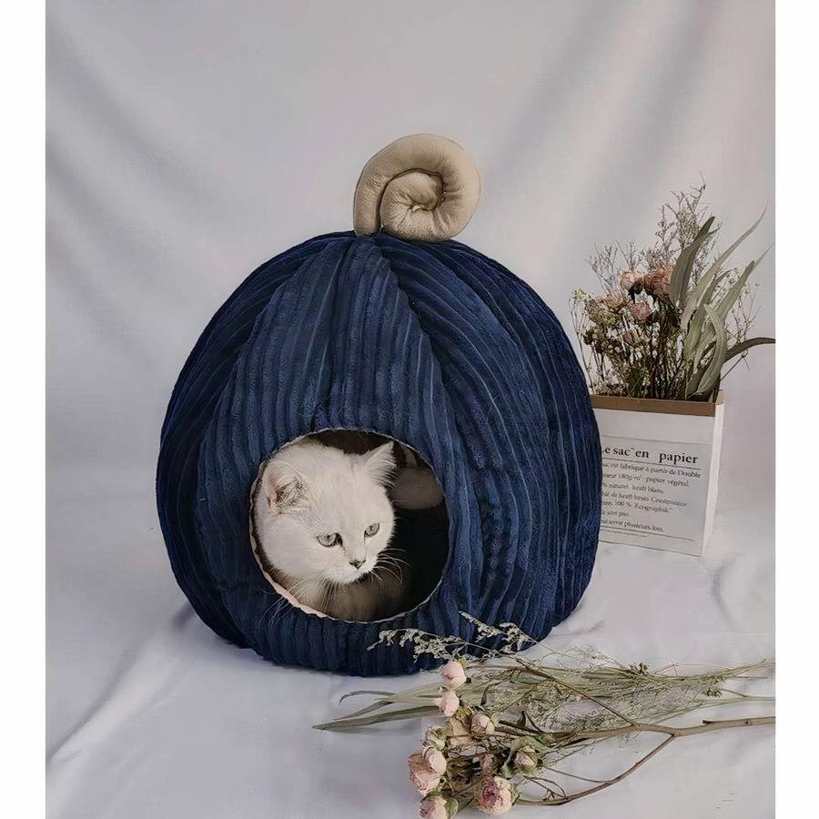 refuge chat en forme de citrouille