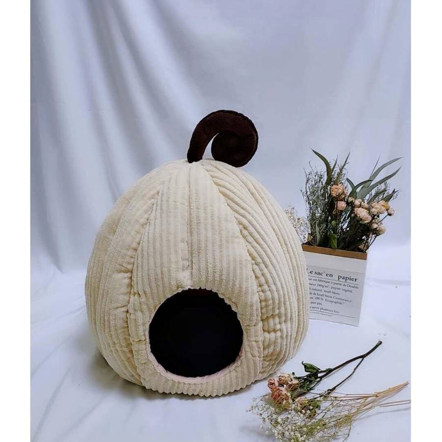 maison citrouille design chat