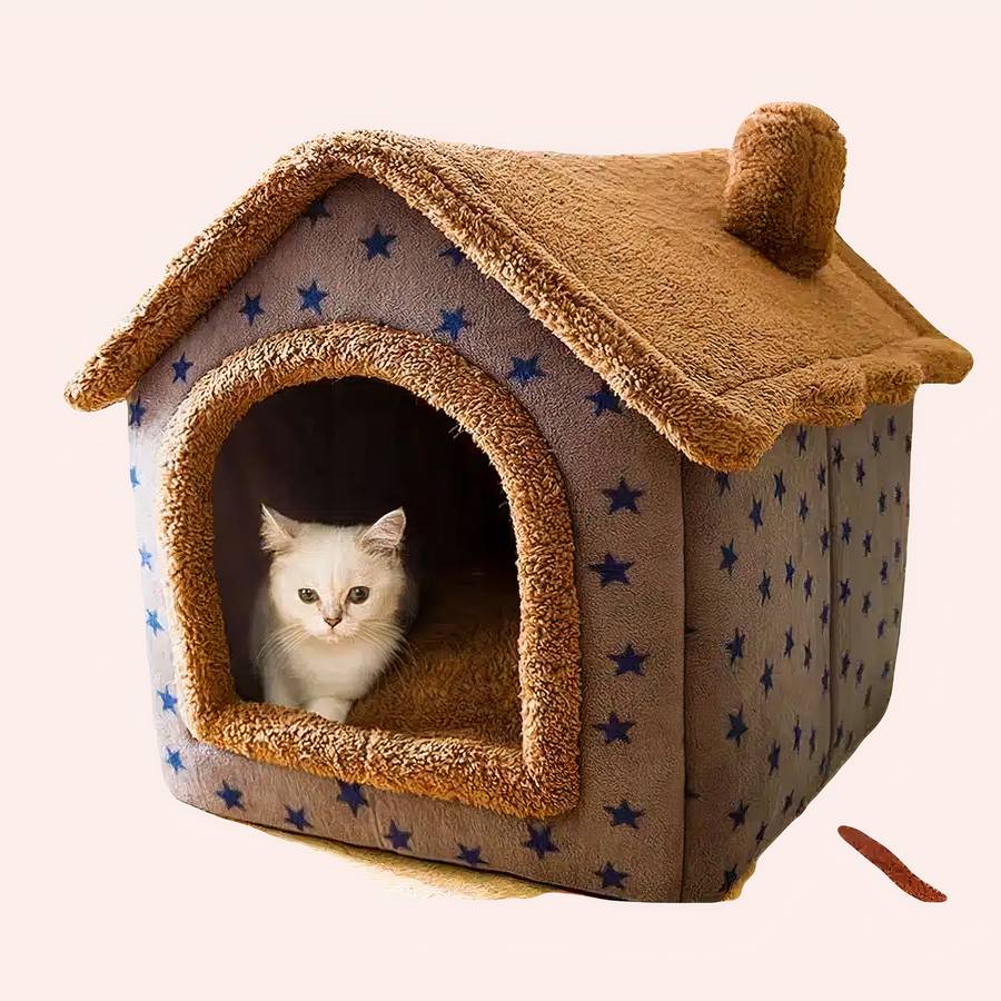 maison niche chat étoilée