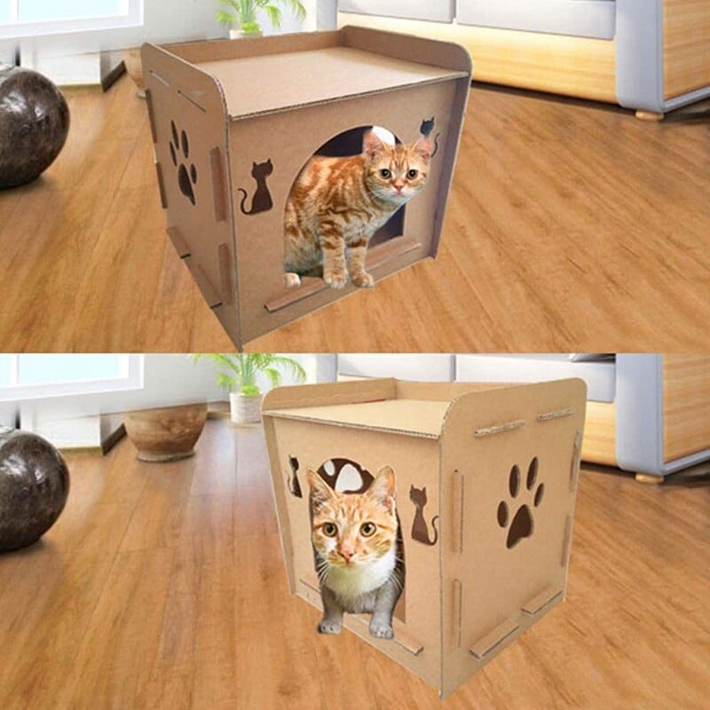 abri pour chat en carton