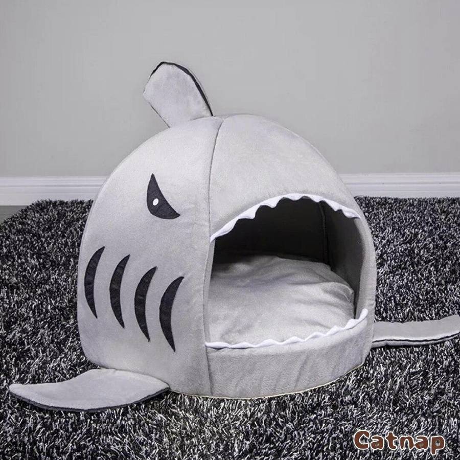 maison chat design requin