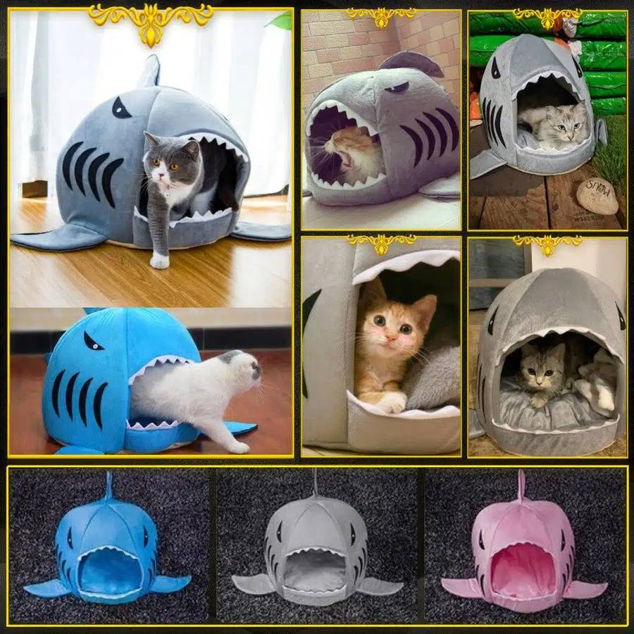 abri chat requin original