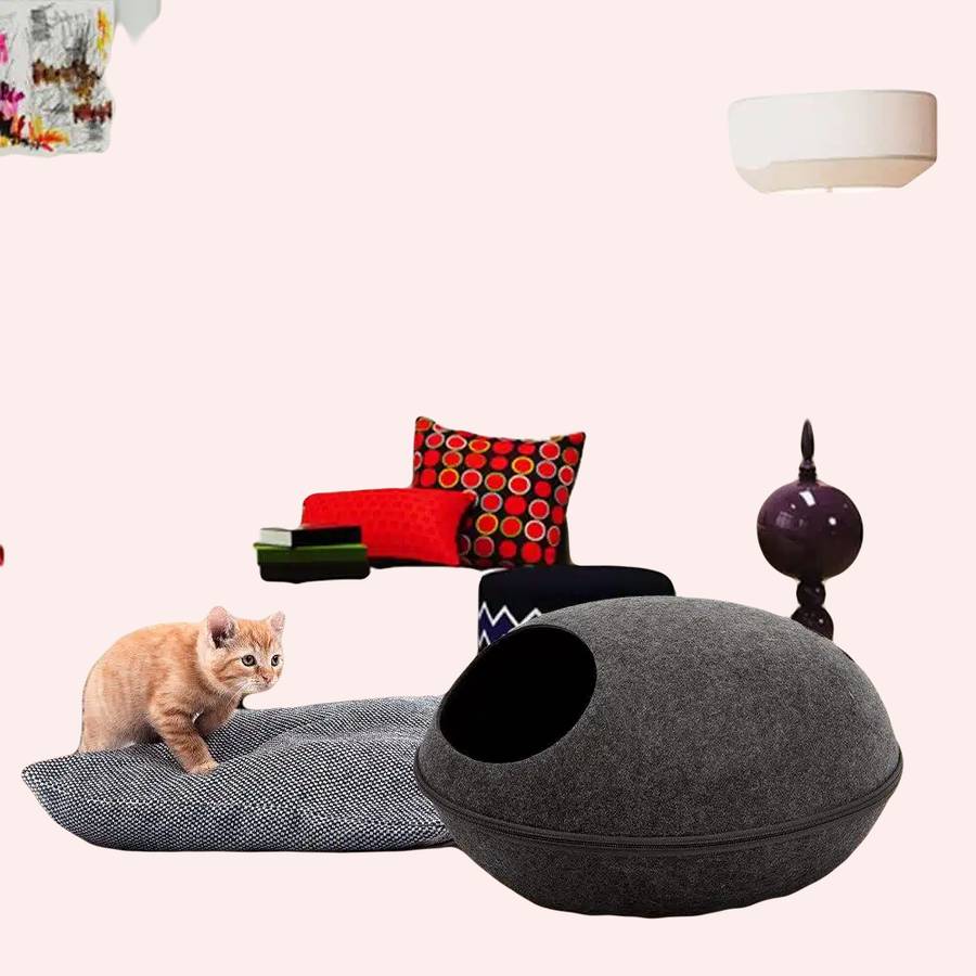 niche en forme d'œuf pour chat