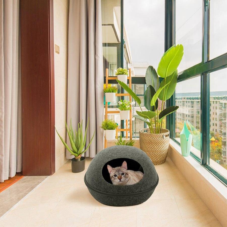 maisonnette contemporaine pour chat