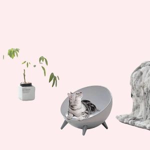 panier chat avec tapis