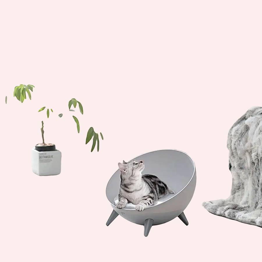 panier chat avec tapis