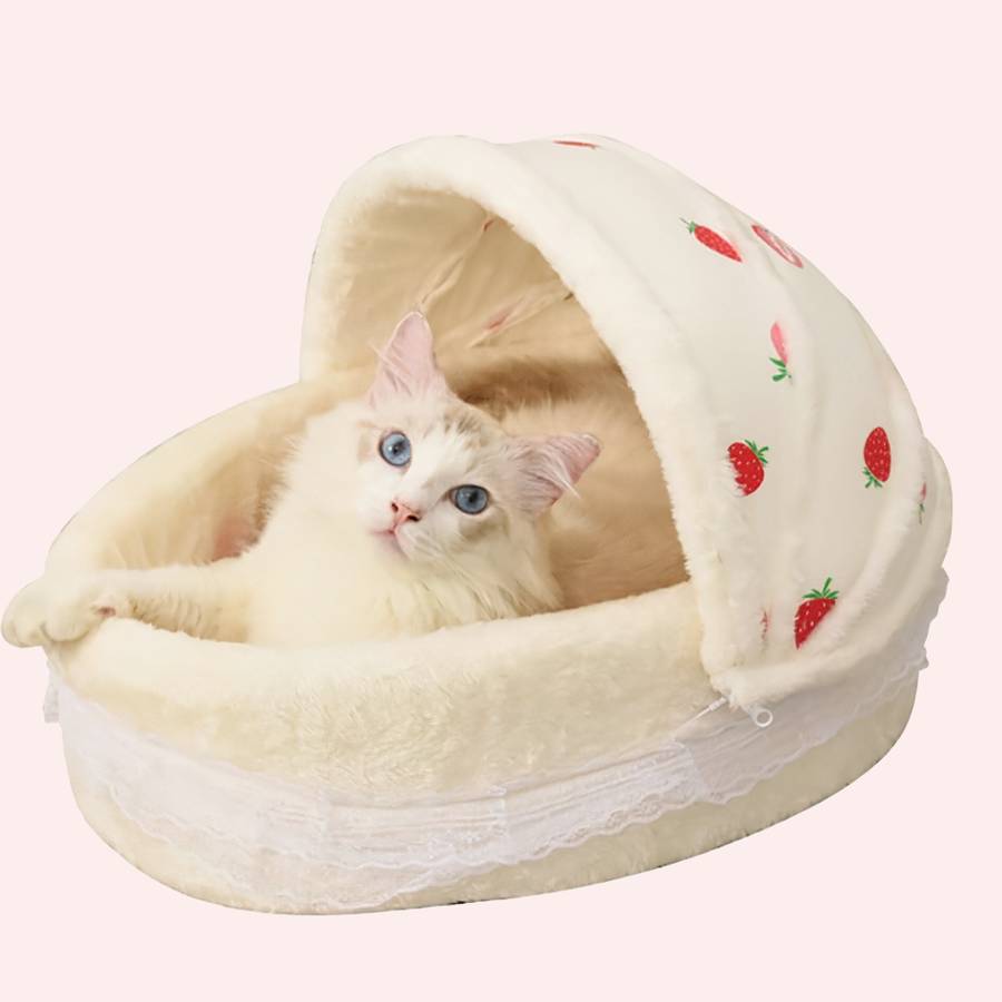 panier chat motif fruit