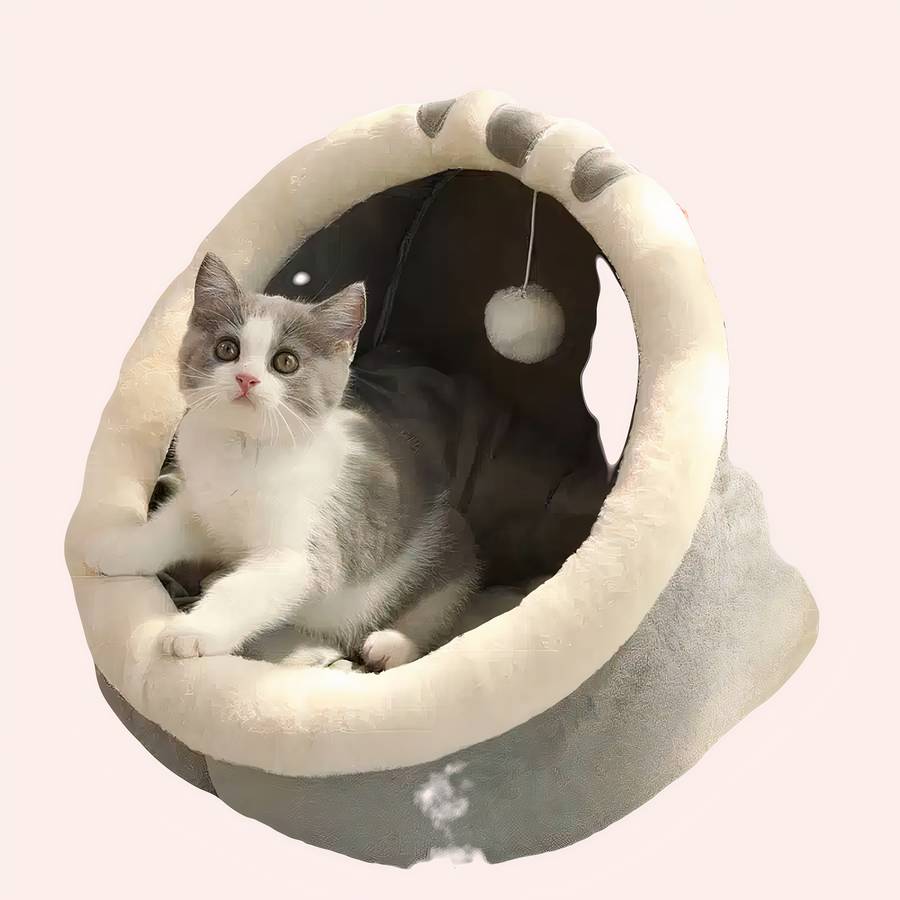 panier chat lavable