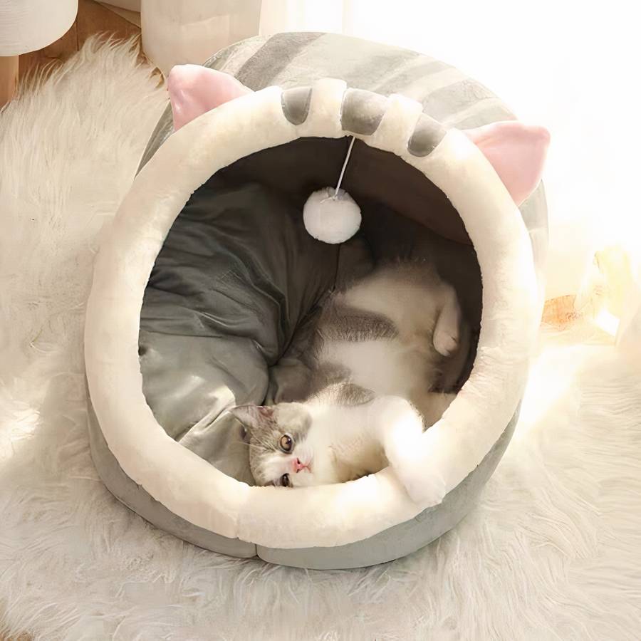 lit chat lavable
