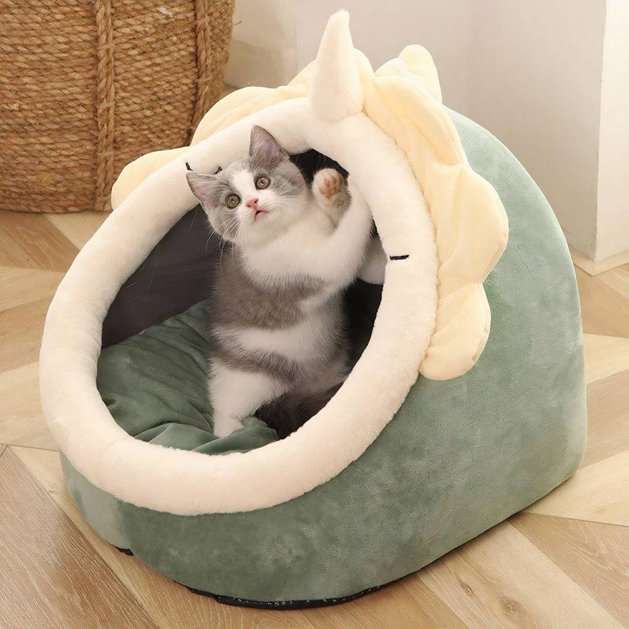 design animal lit chat