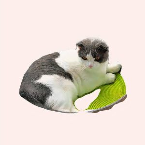 panier de couchage chat en tissu feutré