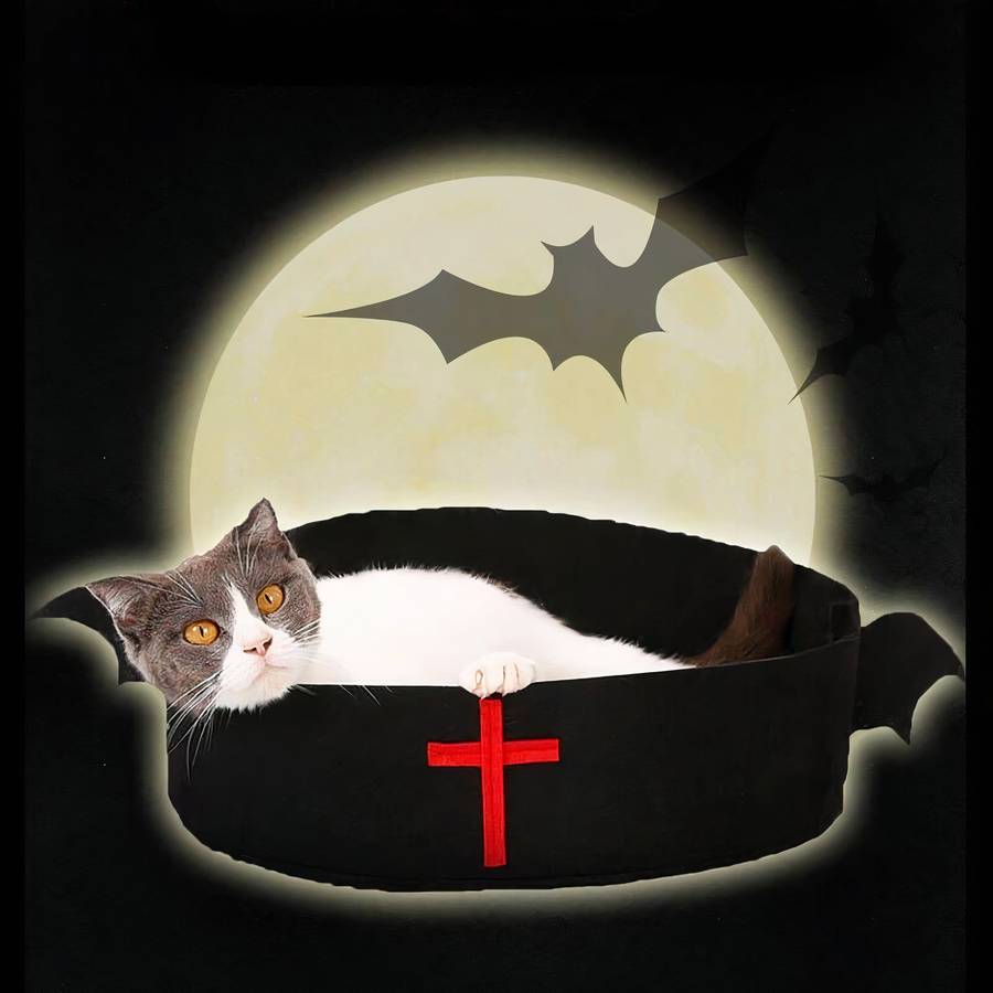 panier Halloween chat