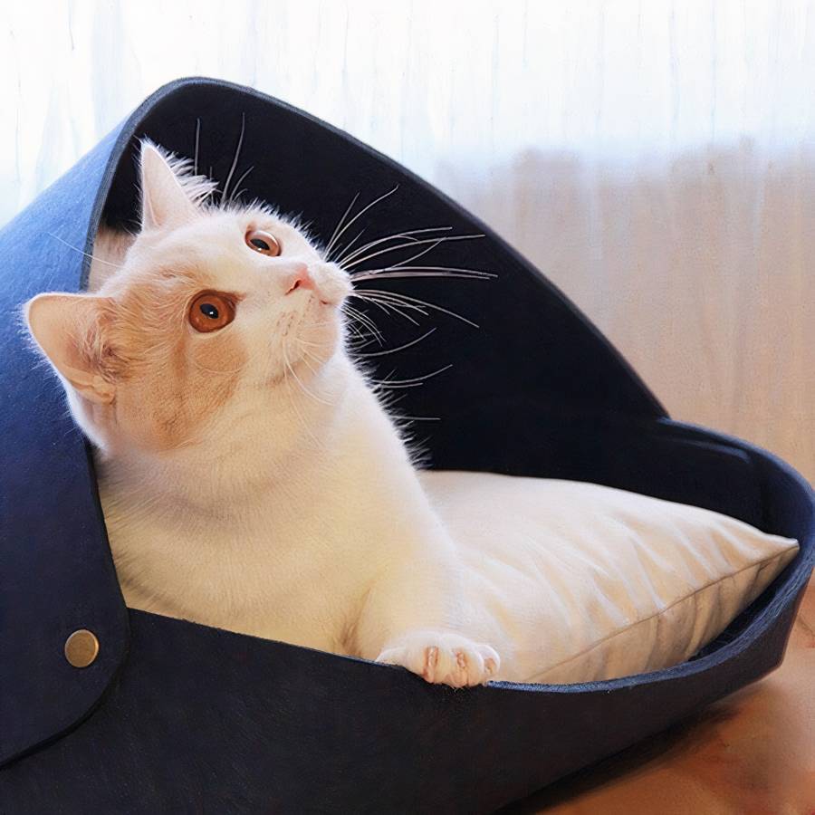 panier respirant pour chat