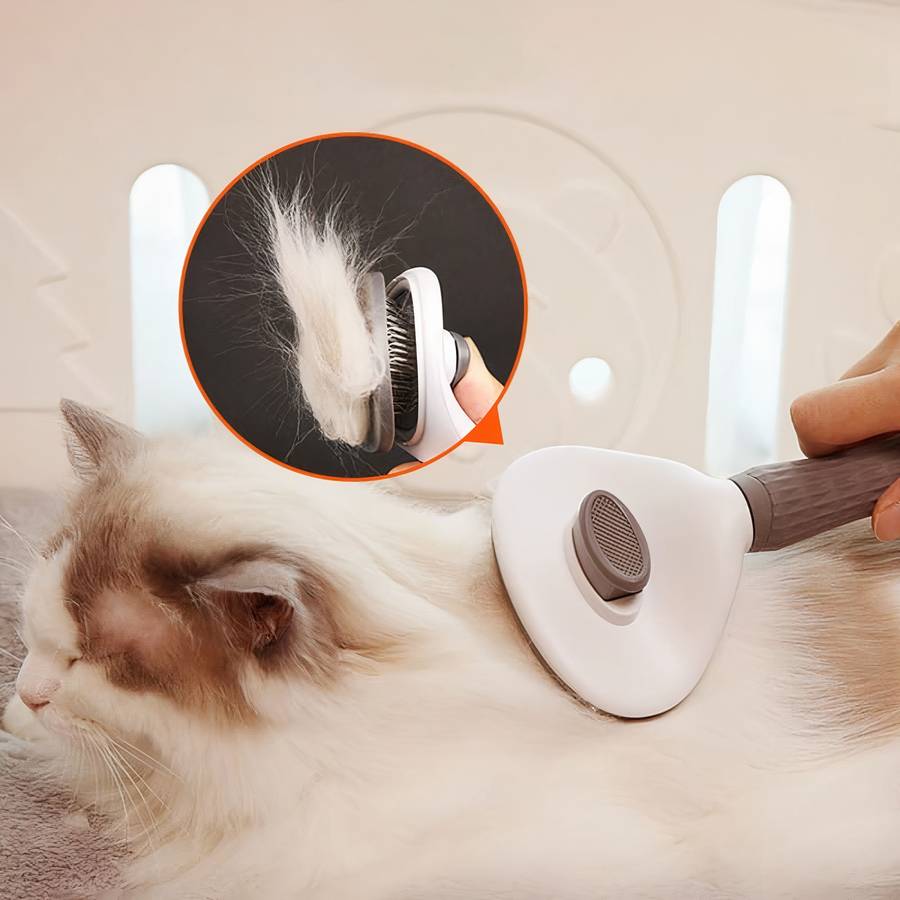 accessoire toilettage chat