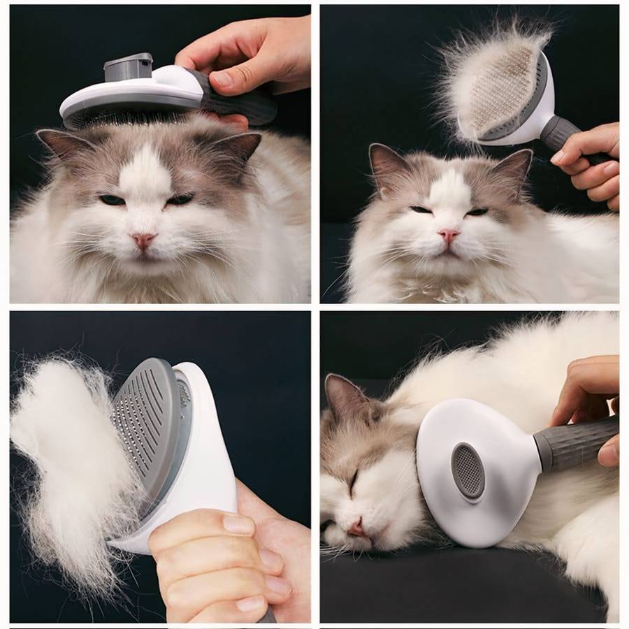 peigne chat démêlant