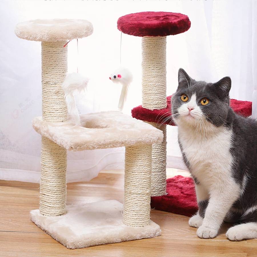 accessoire de jeu pour chat