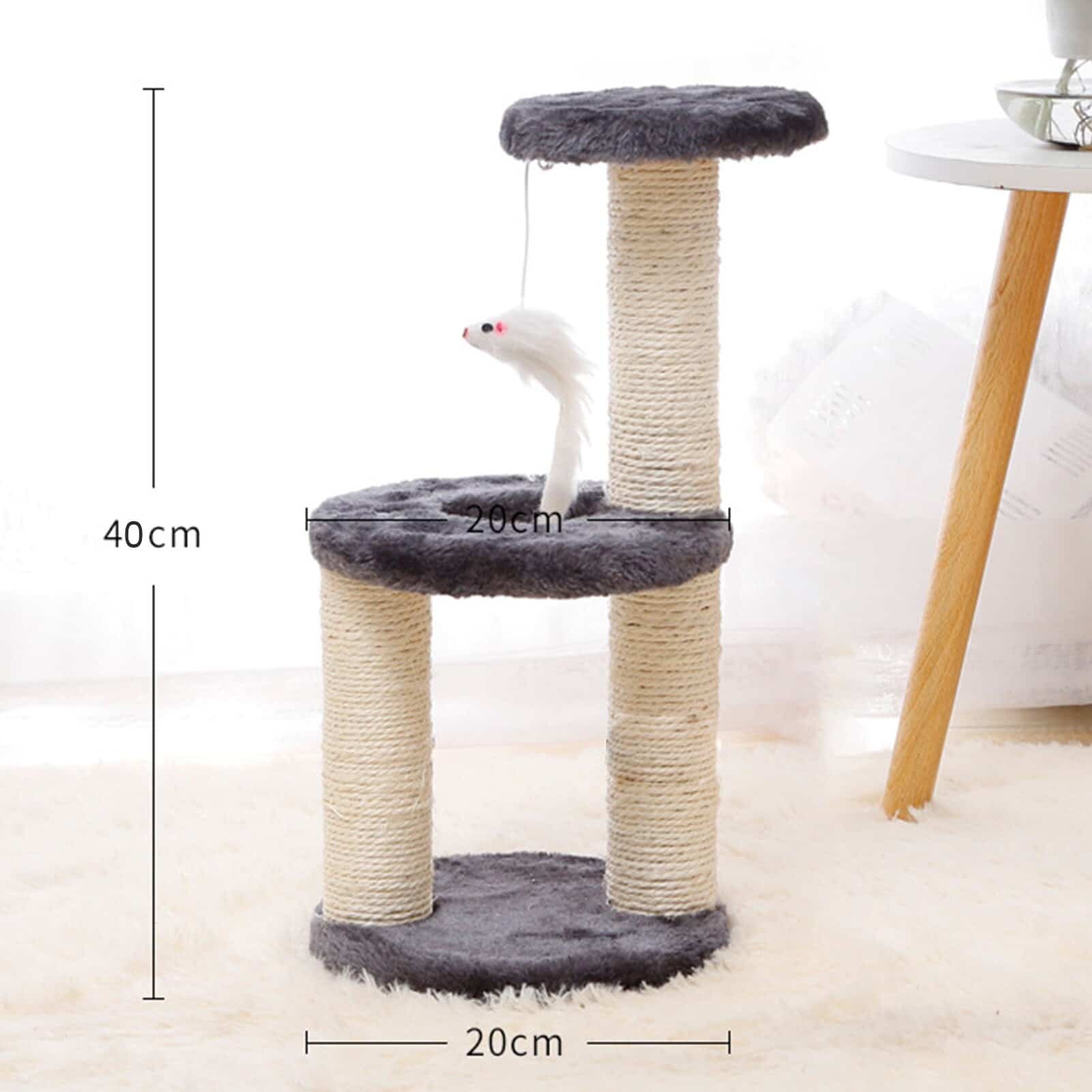 planche design pour chat